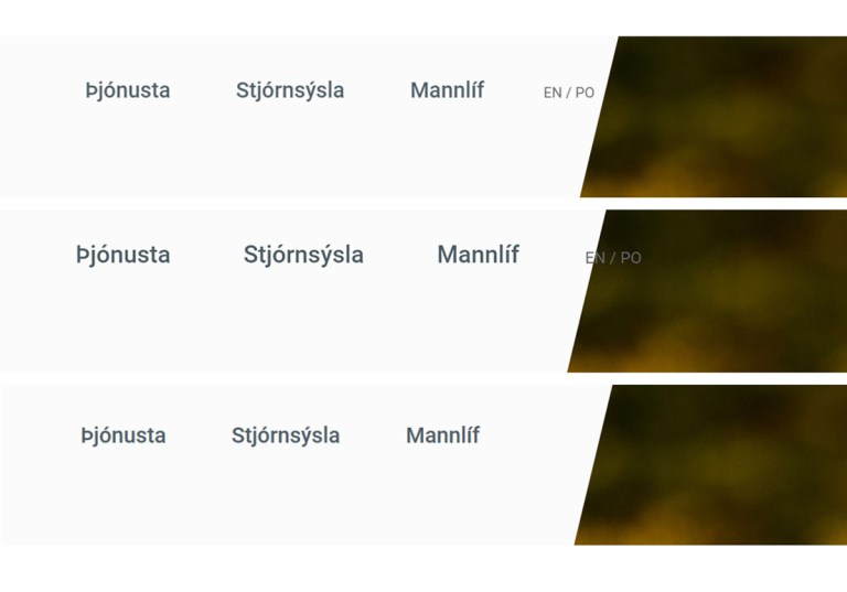 Skjáskot af stillingu fyrir tungumál