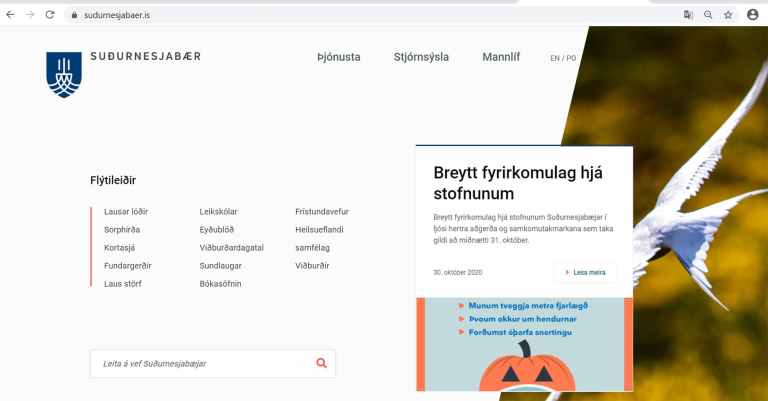 Skjáskot af forsíðu vefs Suðurnesjabæjar